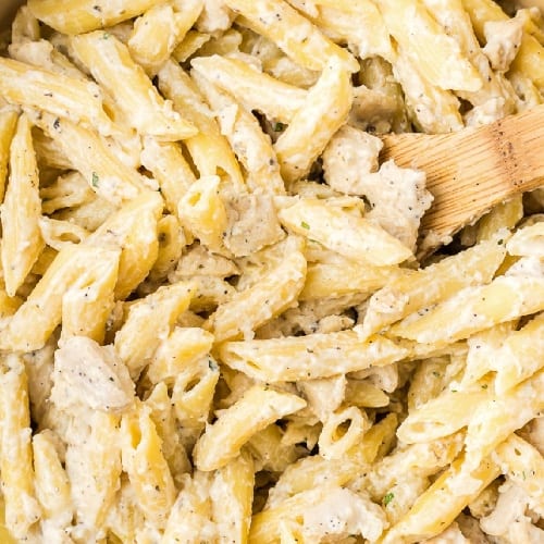 Chicken Alfredo.